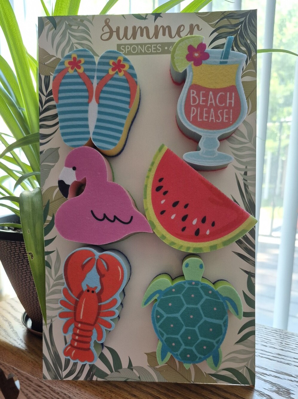Summer Beach Sponge Set - Bright Tropical Colors. BRAND NEW - Picture 3 of 3